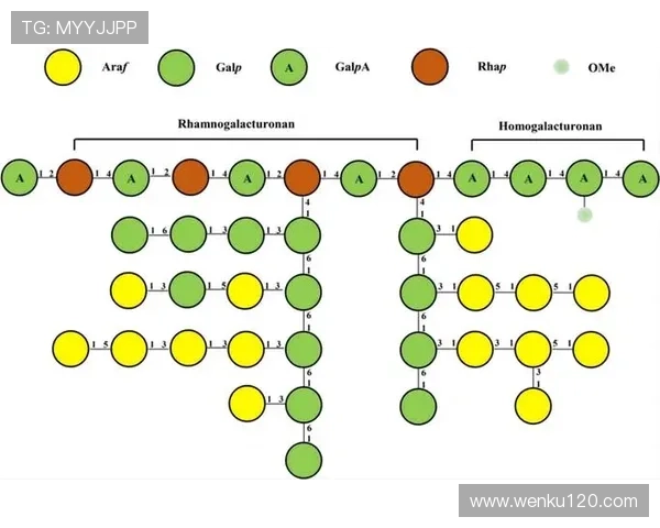 以比赛时间为核心的赛事节奏变化与胜负走向解析研究关键节点影响因素