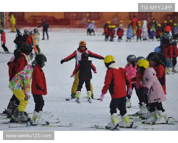 冰雪运动进校园收费争议与公益属性平衡路径制度设计与监管完善研究