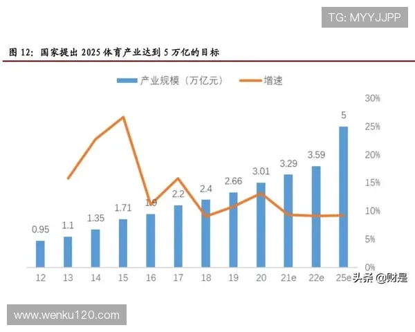 以体育管理经验为核心的现代体育组织创新与实践探索路径研究与发展战略