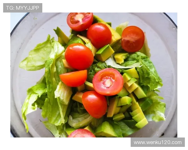 科学健康减肥食谱搭配指南轻松瘦身不反弹的营养方案全程规划秘籍