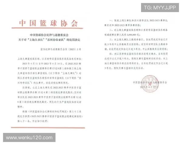 关于某职业联赛违规行为处罚公告及后续整改措施说明情况通报全文 - 副本 - 副本