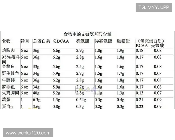 支链氨基酸在运动营养与代谢调控中的关键作用解析机制与应用前景探讨 - 副本 (2)