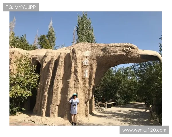 点燃城市梦想的草根篮球热血逐梦之路与青春拼搏成长故事时代篇章 - 副本 - 副本 - 副本 - 副本