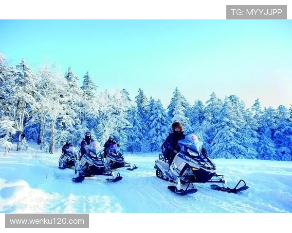 极限雪地摩托穿越冰雪世界的速度与激情探险体验